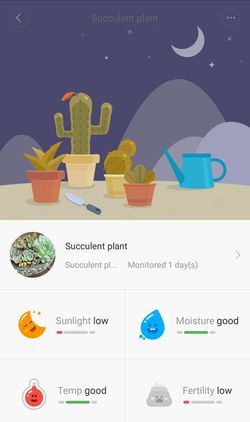 Flower_care.jpg